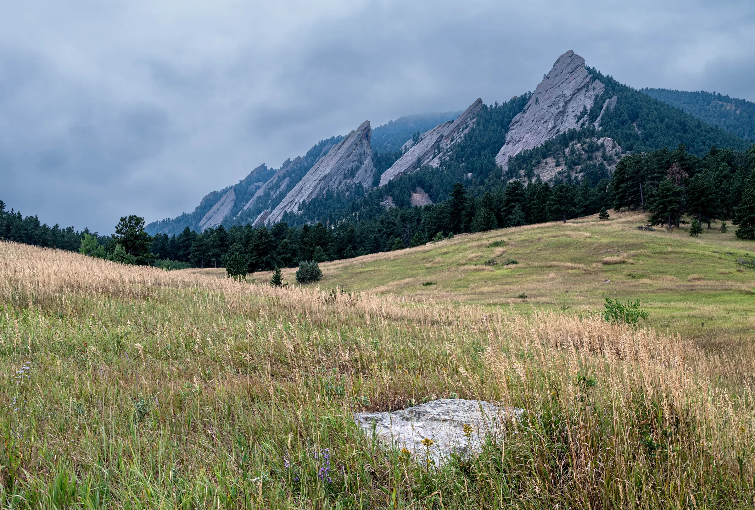 The Flatirons rising over a grassy meadow near Boulder, Colorado