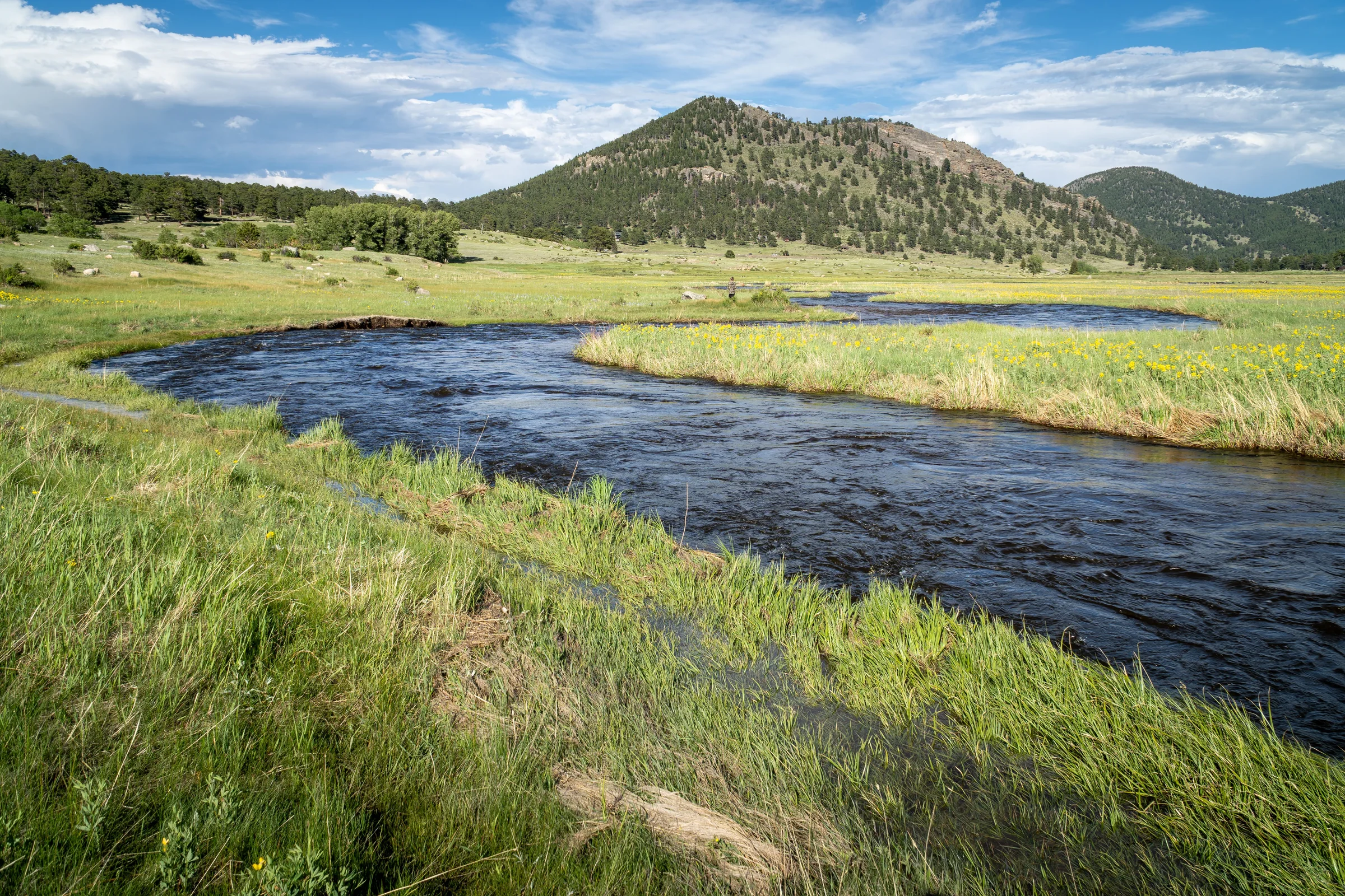 A river winding through a green mountain meadow in Colorado