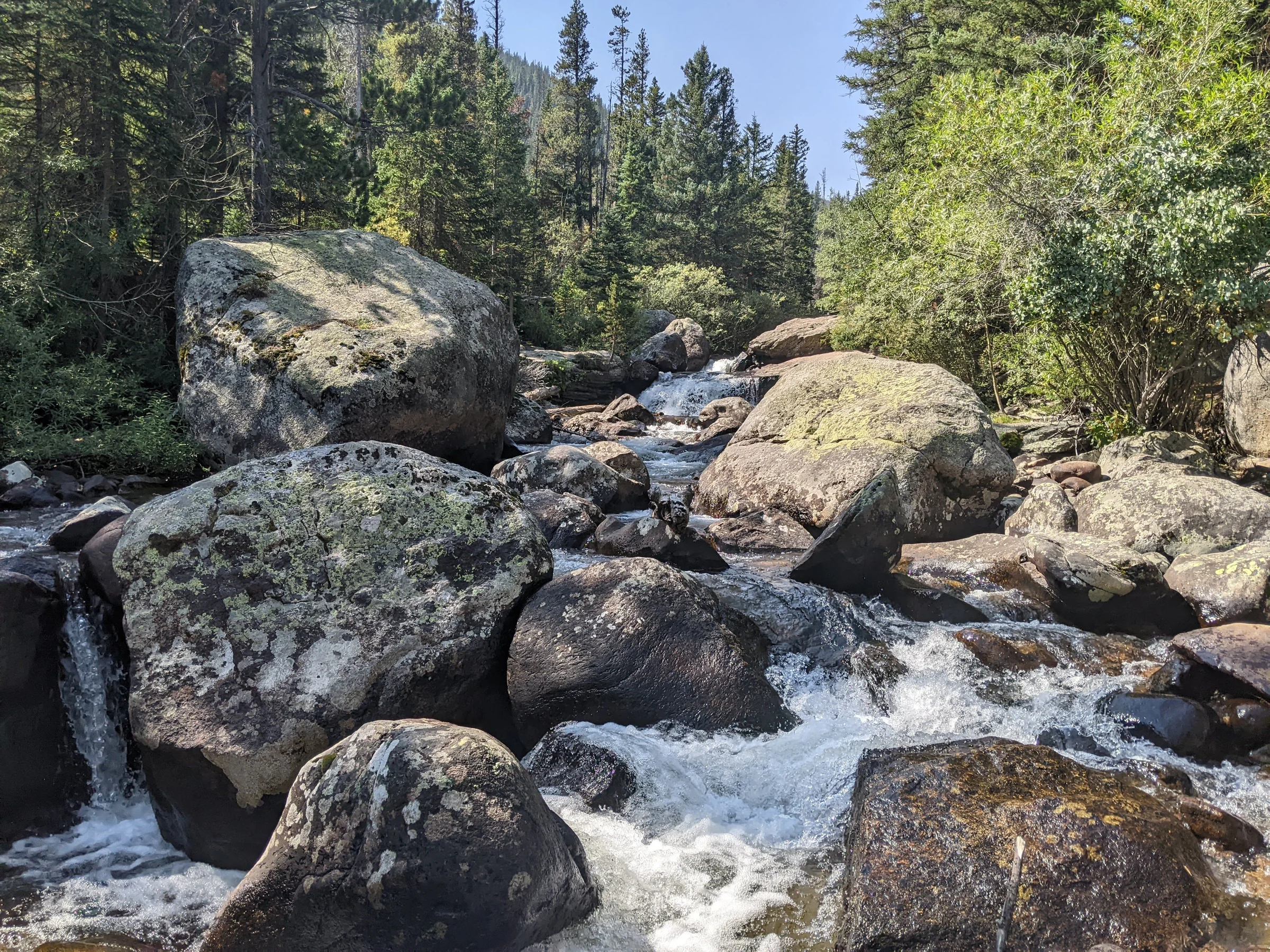 A boulder-strewn mountain creek under pines in the Colorado foothills